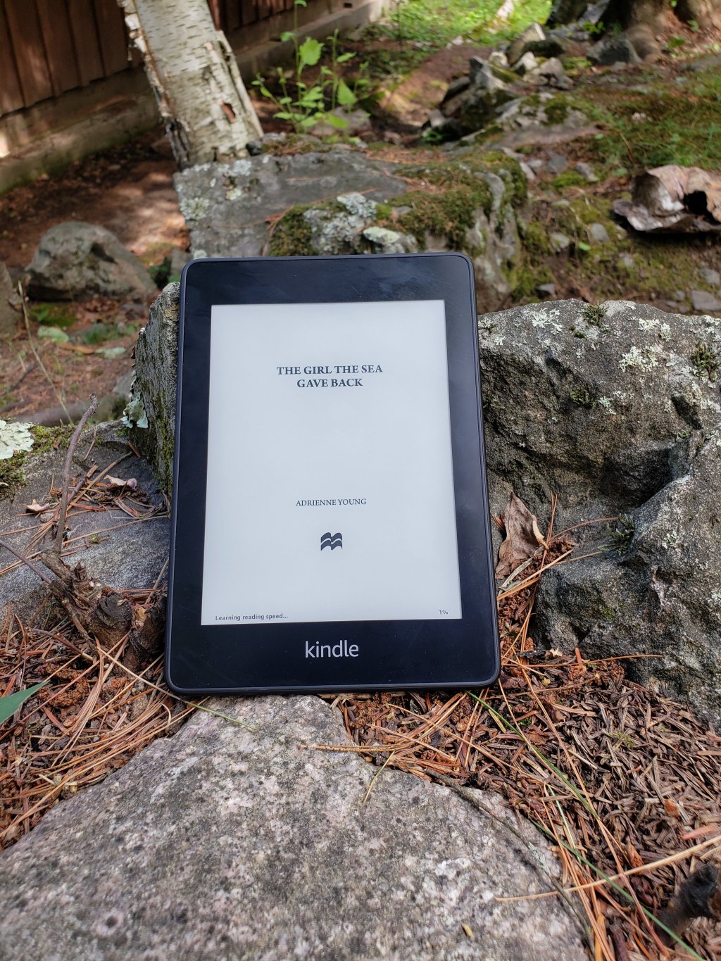 The Girl the Sea Gave Back